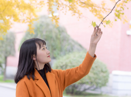 菲律宾有什么节日放假吗(节日假期更新)